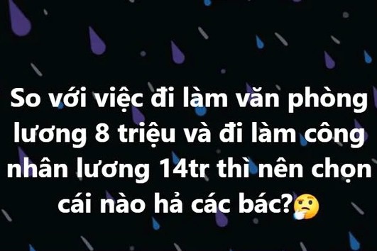 Tranh cãi việc nữ kế toán bỏ nghề đi làm công nhân lương 14 triệu đồng - 1