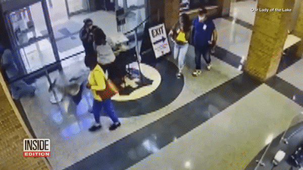 Choáng cảnh con nai bị thương tự chạy tới bệnh viện... cầu cứu - 1