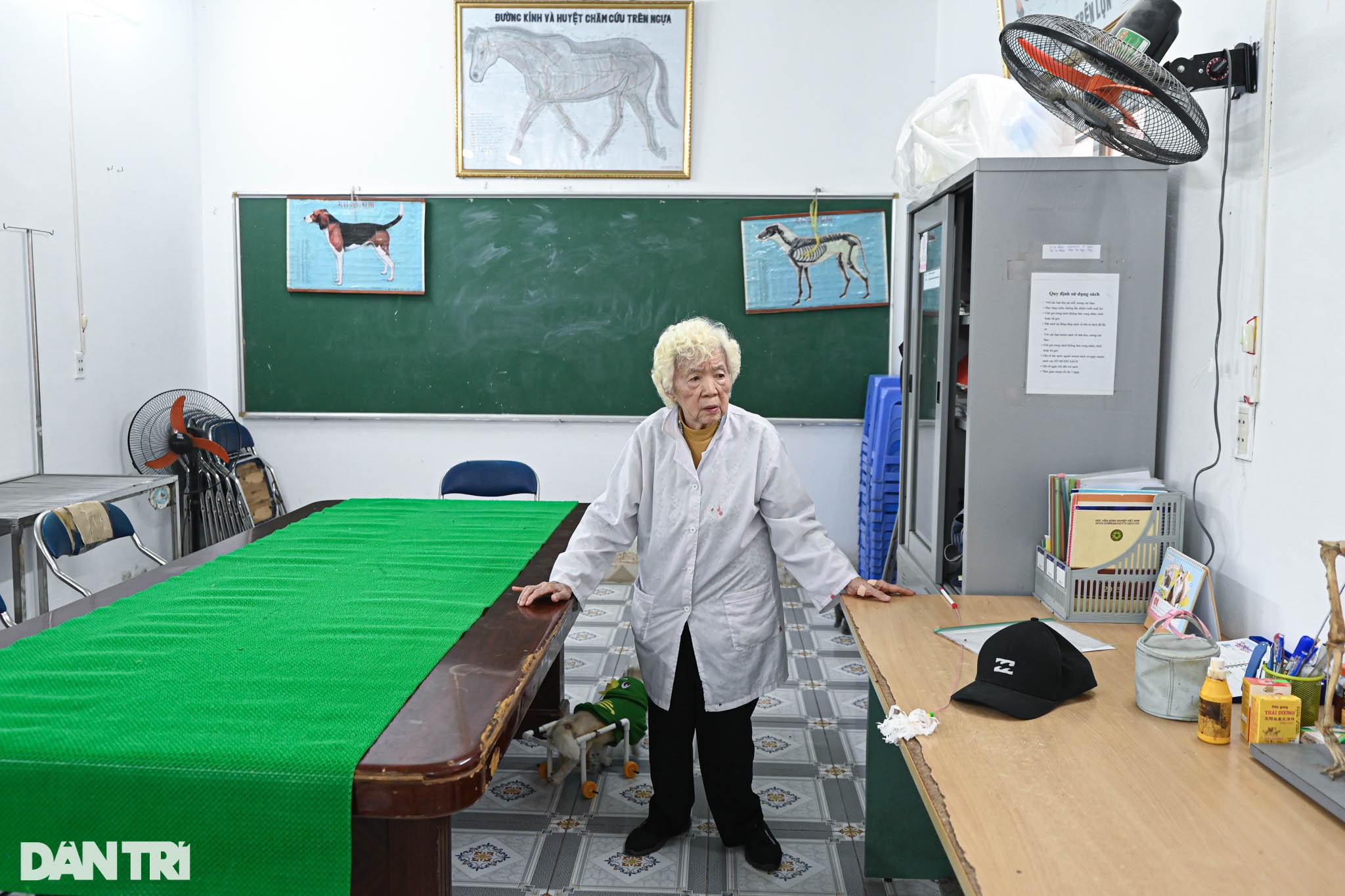Phòng khám đặc biệt của bà giáo 88 tuổi điều trị miễn phí cho chó mèo - 1