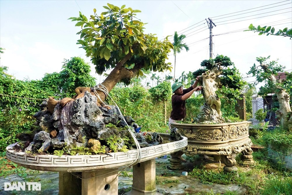 Người thổi hồn vào những gốc duối, ổi, me, bồ đề - 8