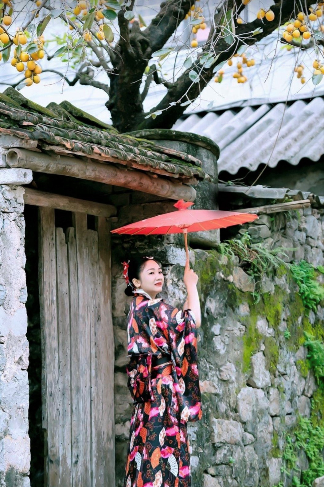 Tiết lộ bất ngờ về cây hồng trăm tuổi gây sốt mạng ở Ninh Bình - 10