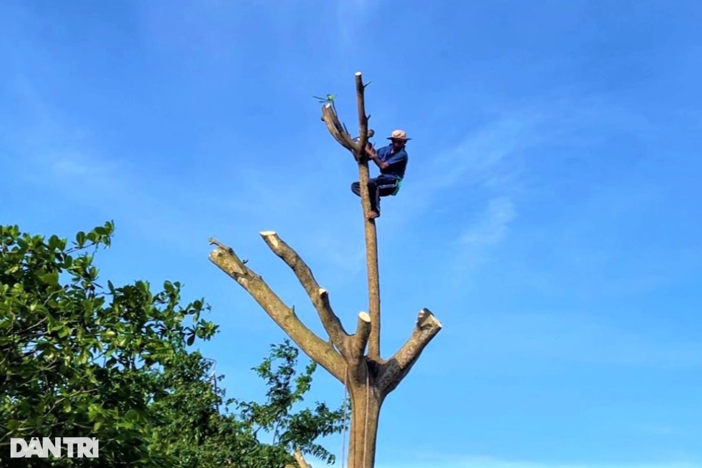 Những dị nhân miền Tây có biệt tài siêu độc, ai cũng phải ngả mũ - 2