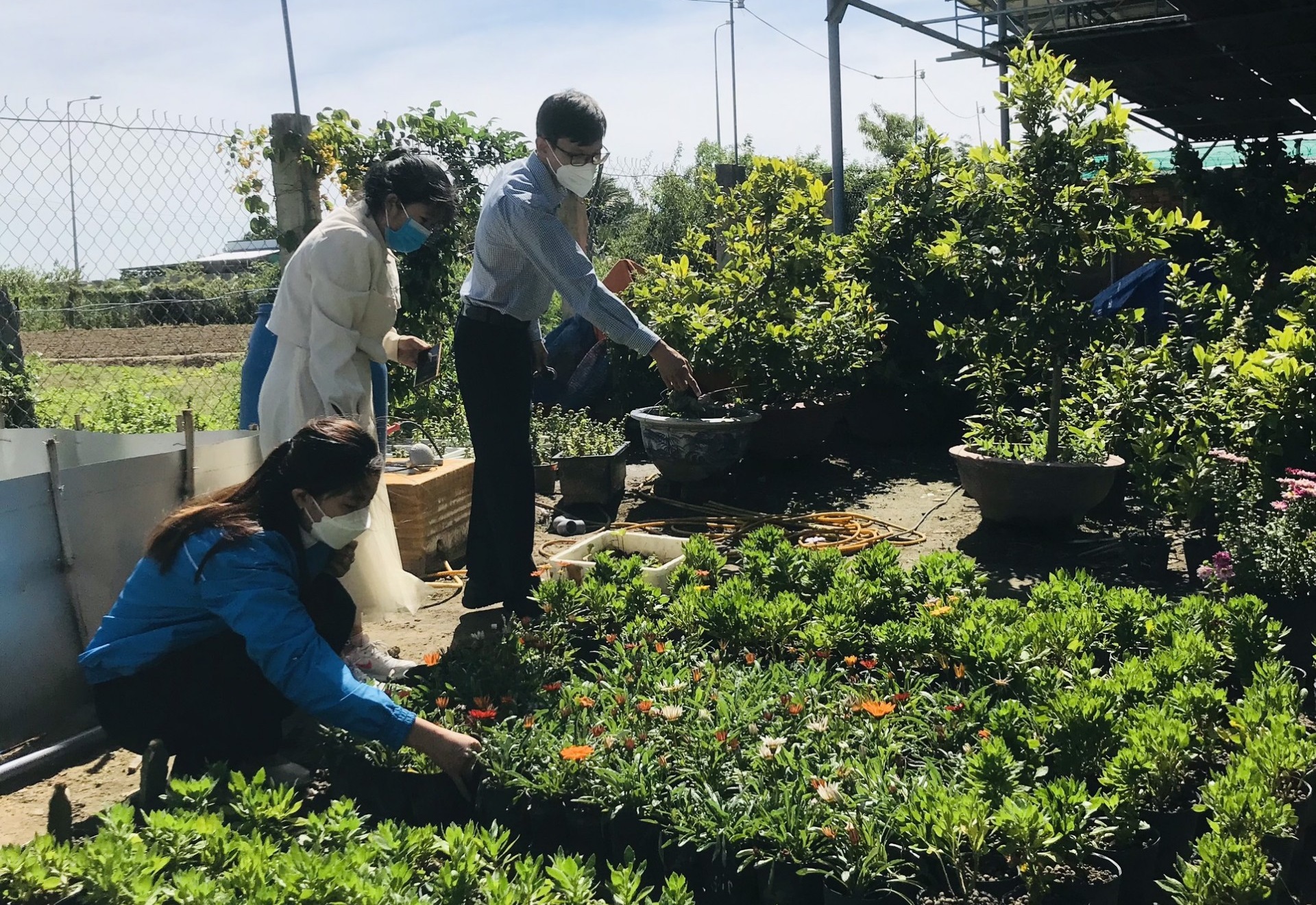 Khởi nghiệp với nghề nuôi ong lạ, thu nhập bạc tỉ trong năm dịch bệnh - 6