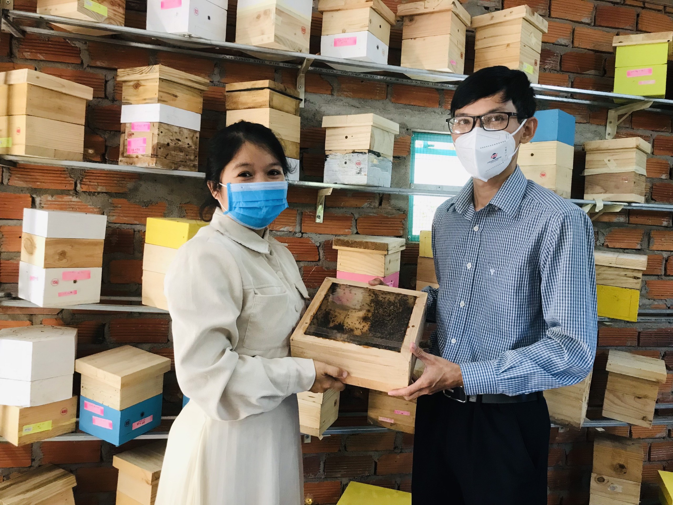 Khởi nghiệp với nghề nuôi ong lạ, thu nhập bạc tỉ trong năm dịch bệnh - 5