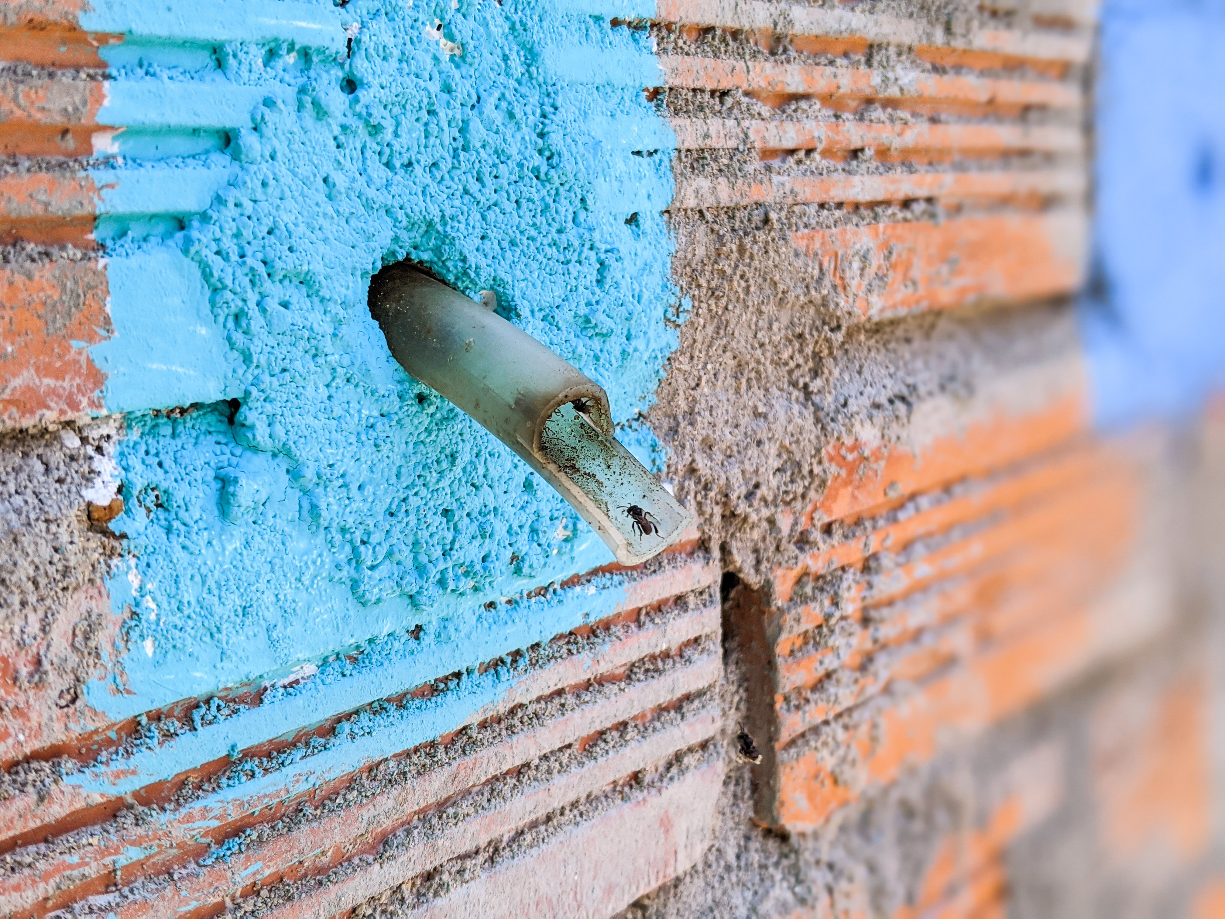 Khởi nghiệp với nghề nuôi ong lạ, thu nhập bạc tỉ trong năm dịch bệnh - 4