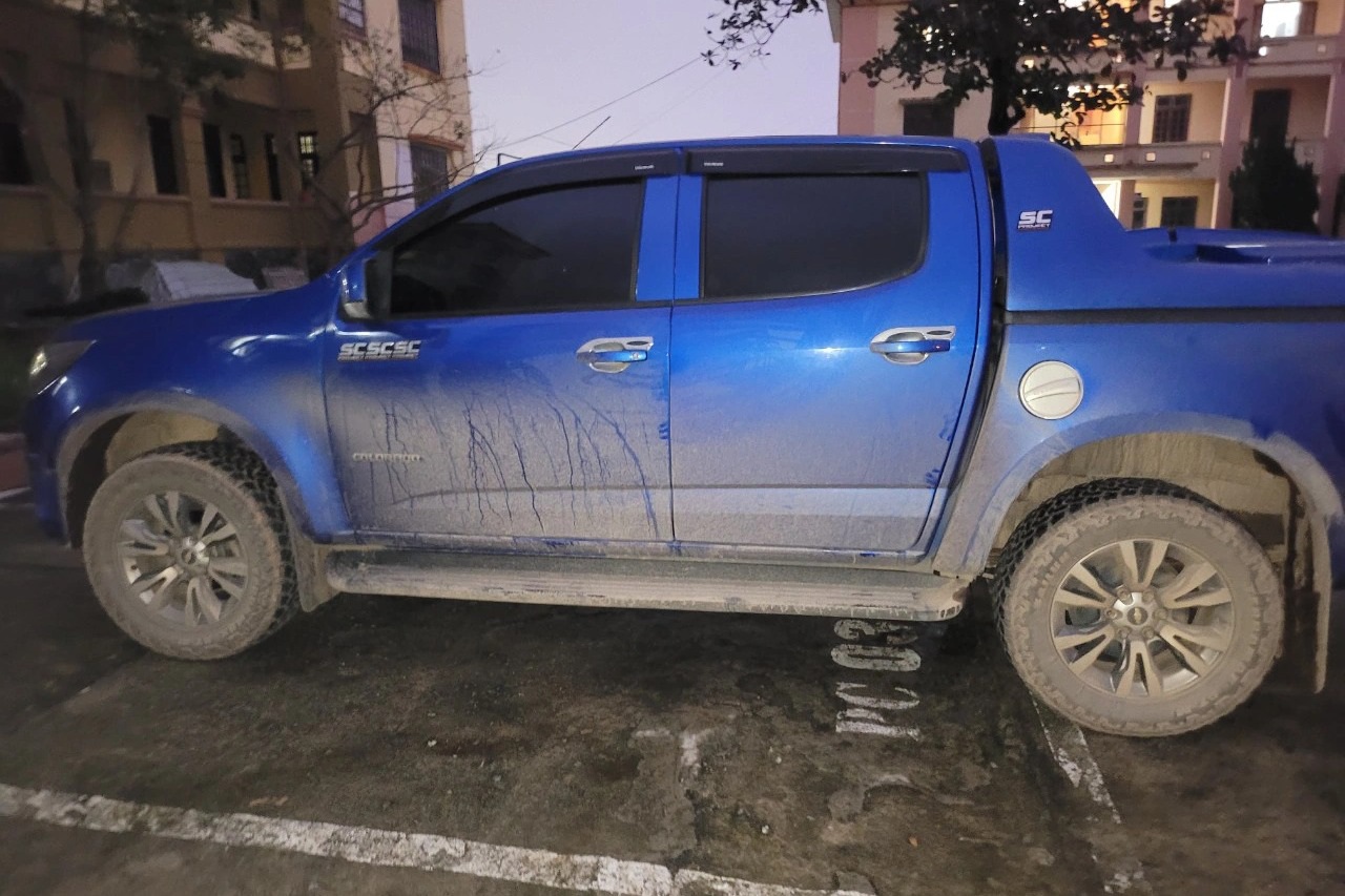 8 cá thể cầy vòi hương thuộc nhóm nguy cấp suýt lên bàn nhậu - 1