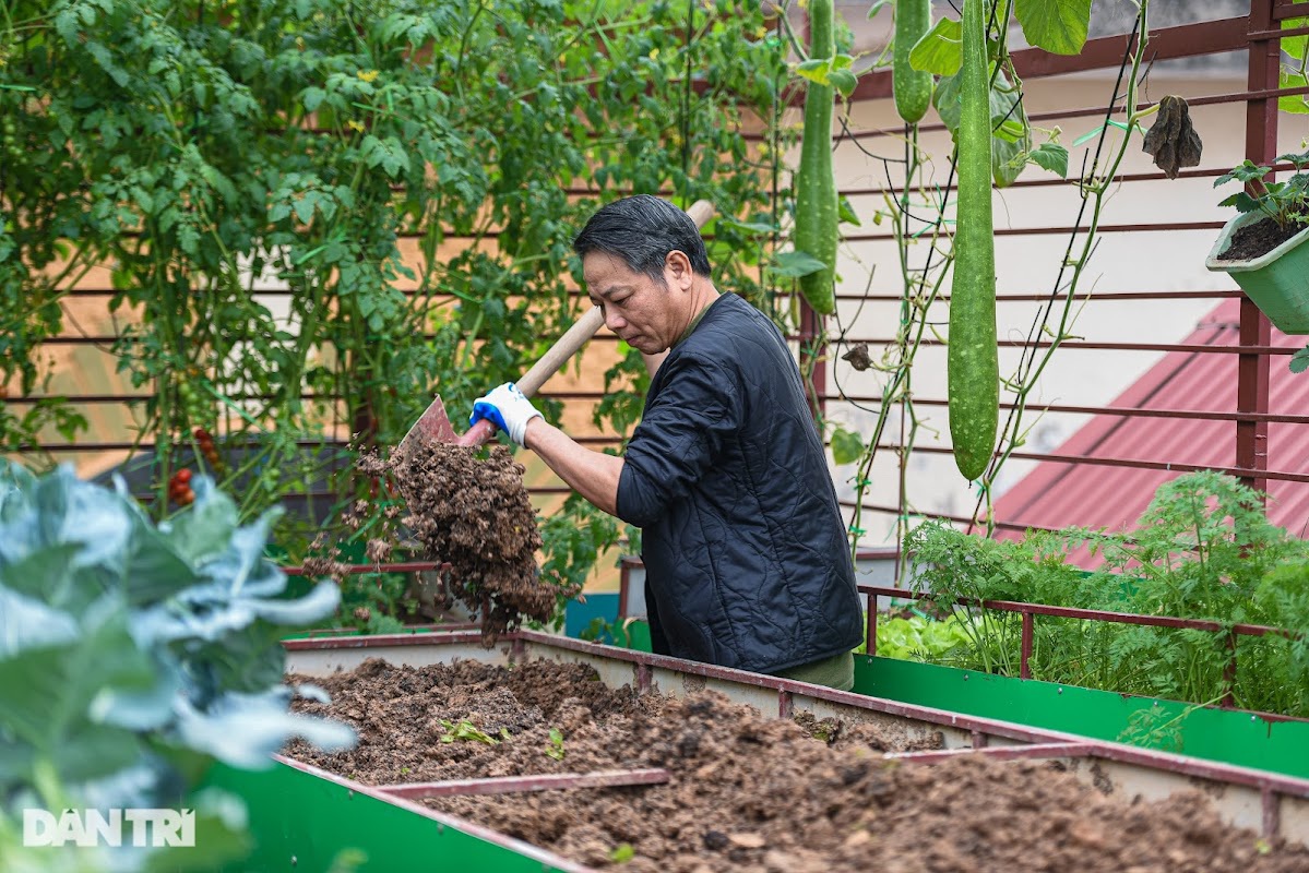 Ông bố Hà Nội chi 200 triệu đồng mang 10 tấn đất làm vườn sân thượng - 2