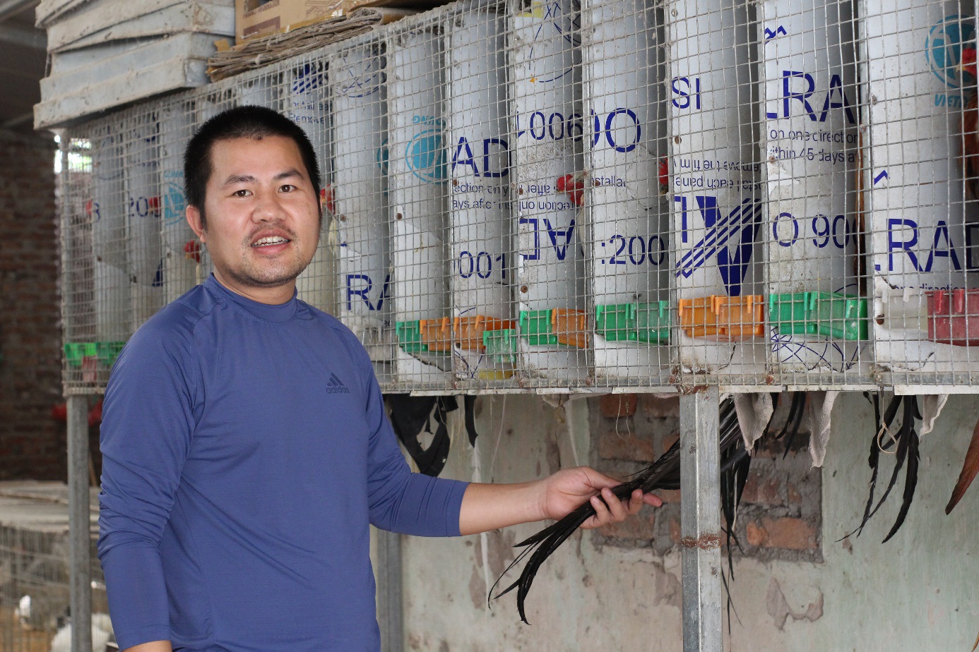 Chi chục triệu đồng mua cặp gà tre đuôi dài nửa mét, dáng oai vệ chơi Tết - 9