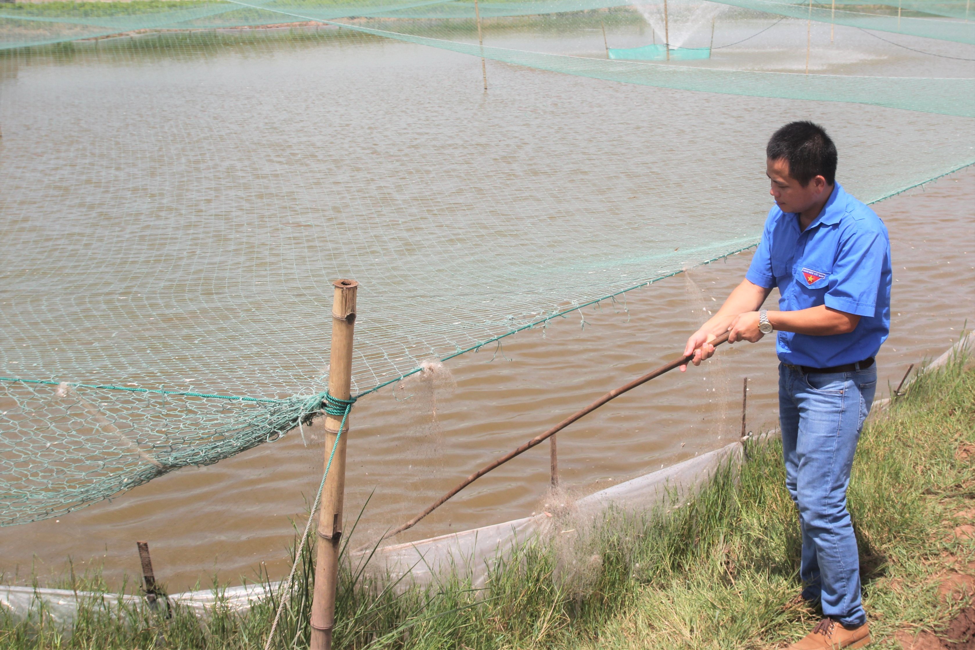 8X cất bằng kỹ sư, liều nuôi chim nhả vàng trắng, không ngờ trúng lớn - 2