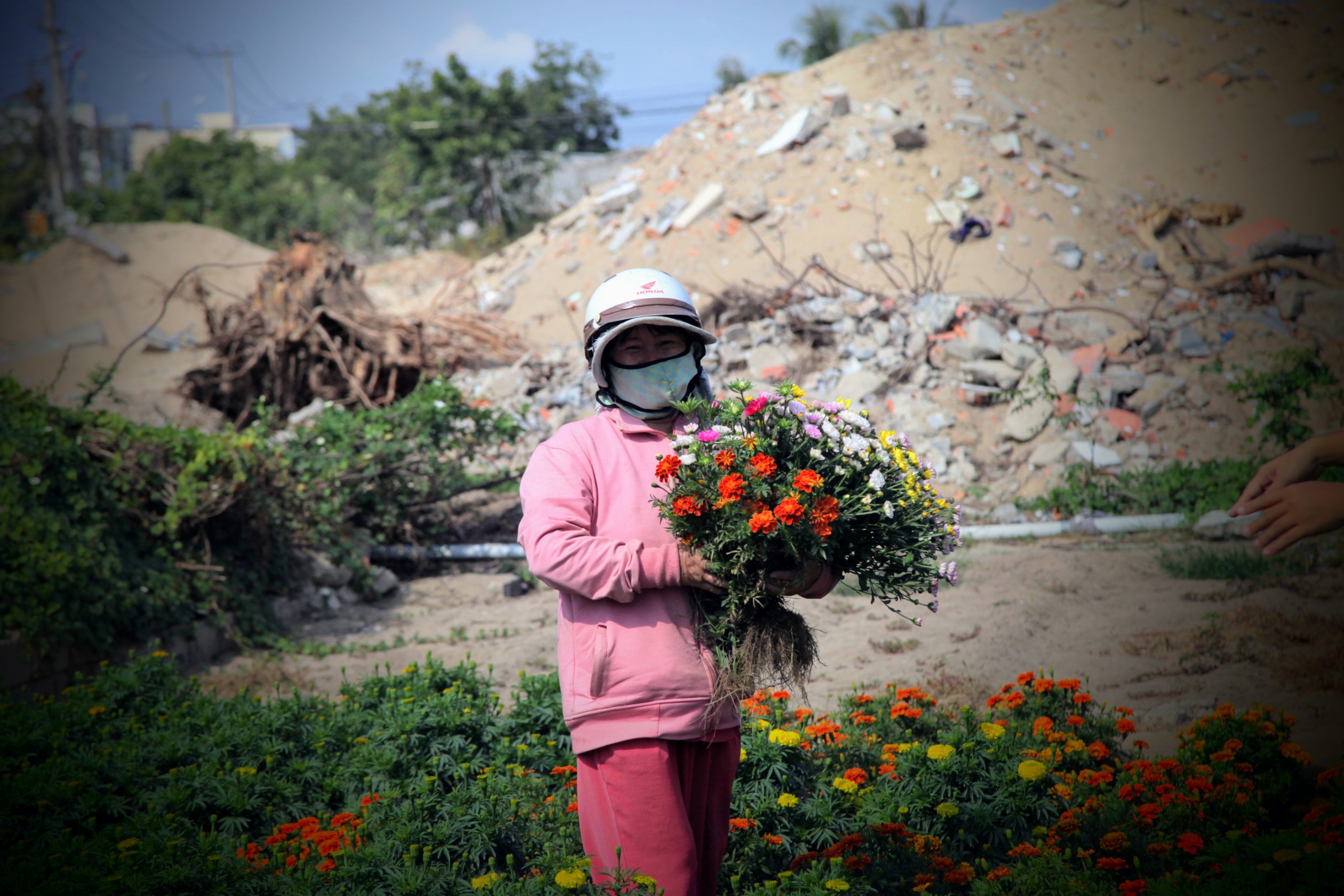 Tết cuối ở làng hoa Mỹ Bình trước khi nhường đất xây khu đô thị - 6