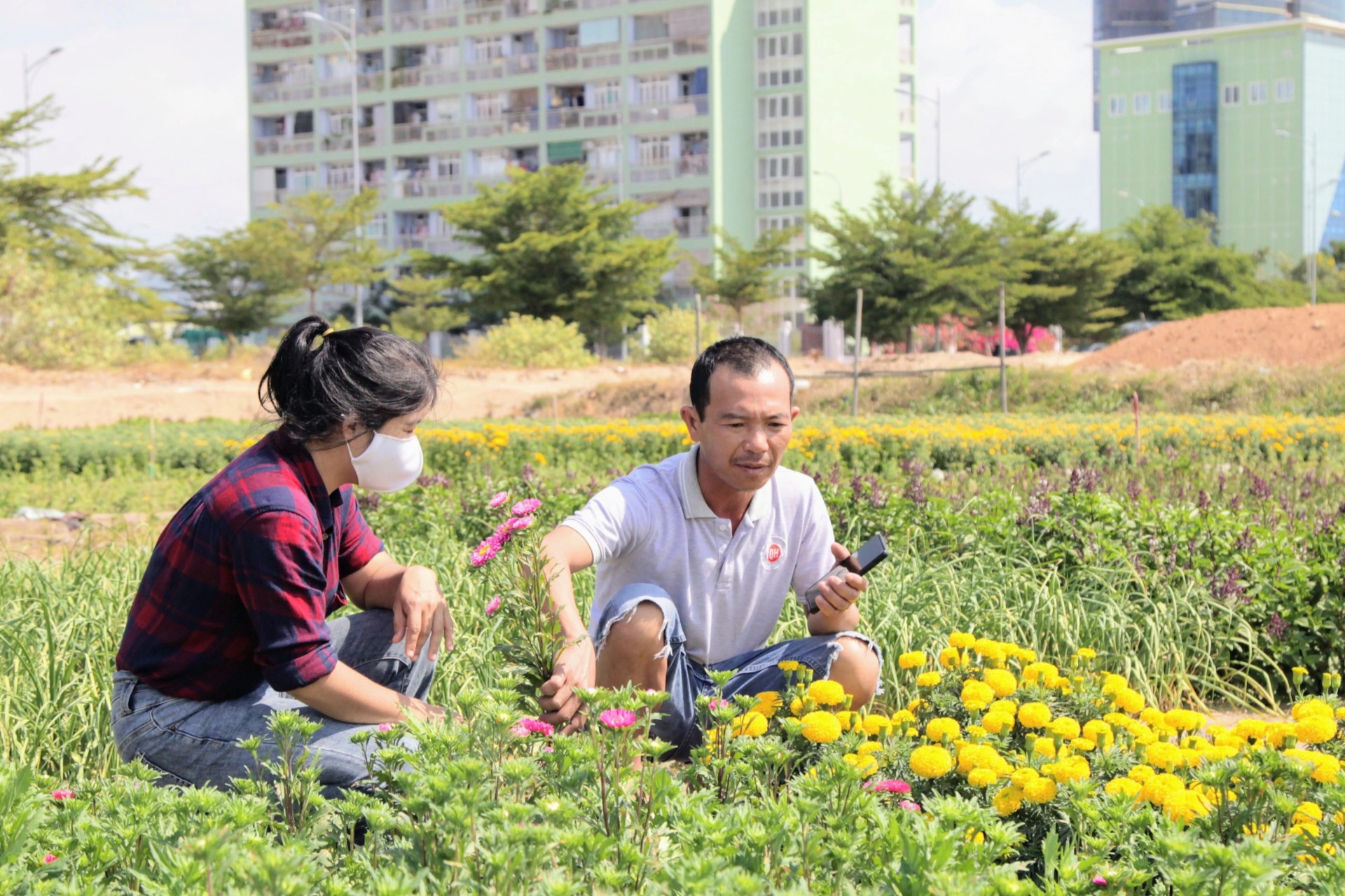 Tết cuối ở làng hoa Mỹ Bình trước khi nhường đất xây khu đô thị - 5