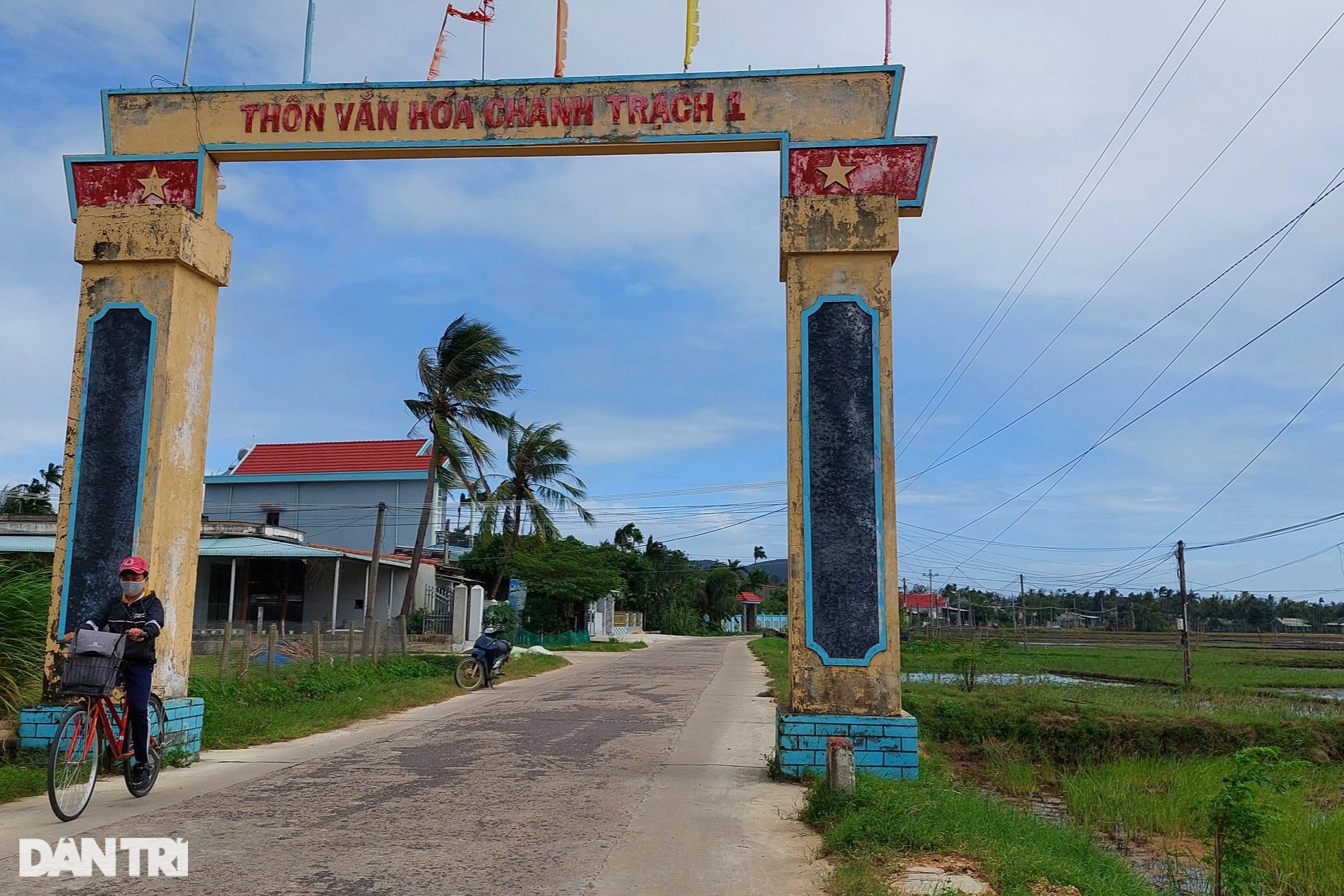 Làng trồng bí đao khổng lồ, quả nặng hơn nửa tạ ở Bình Định - 2