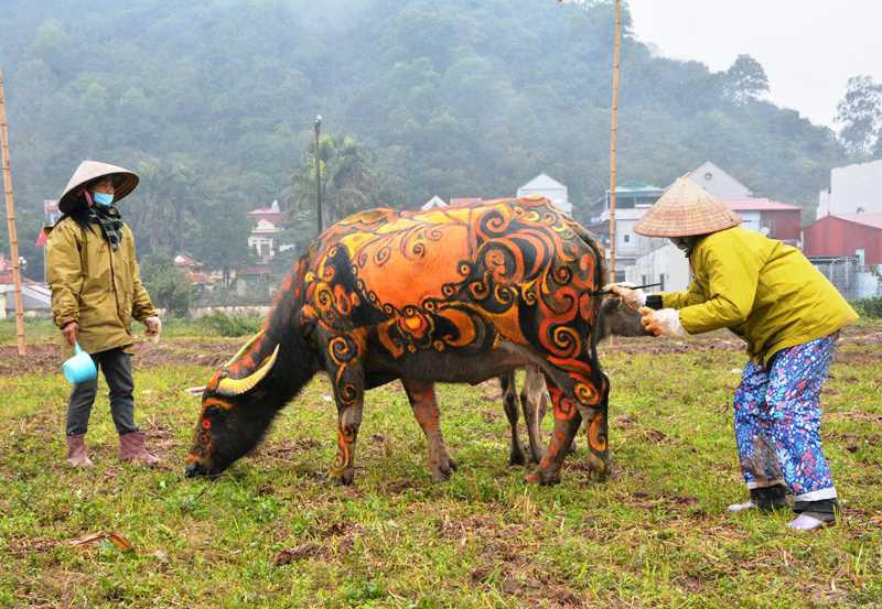 Trâu hóa hổ cho ngày lễ Tịch điền năm Dần - 1