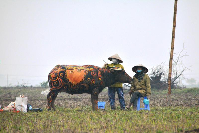 Trâu hóa hổ cho ngày lễ Tịch điền năm Dần - 6
