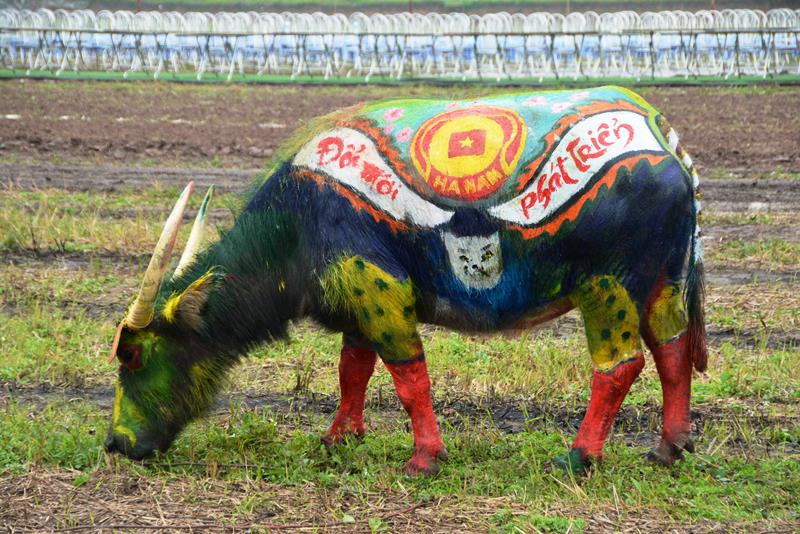 Trâu hóa hổ cho ngày lễ Tịch điền năm Dần - 11