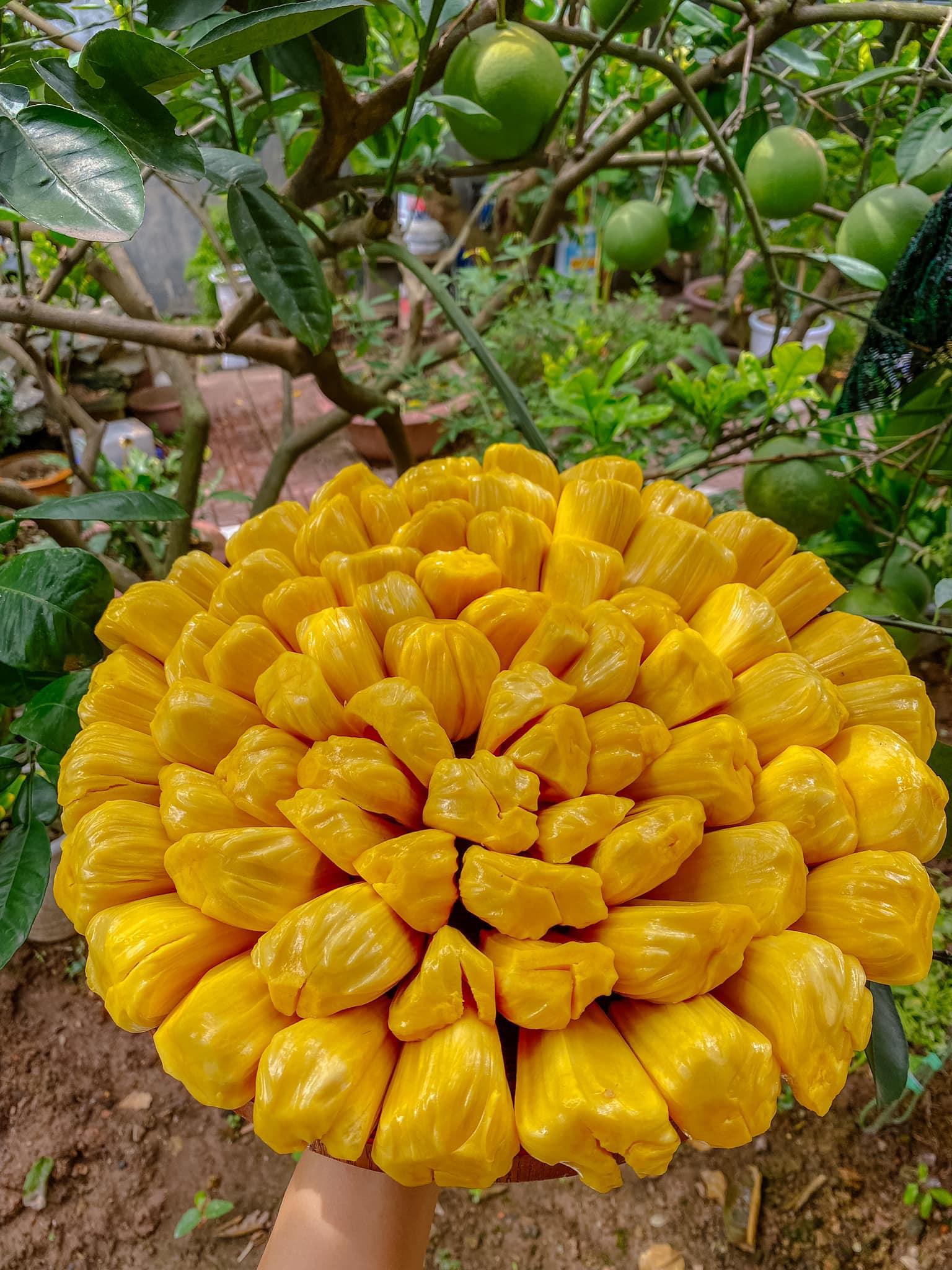 Khu vườn trong mơ với gần 40 loại rau quả sai trĩu trịt giữa lòng Hà Nội - 4