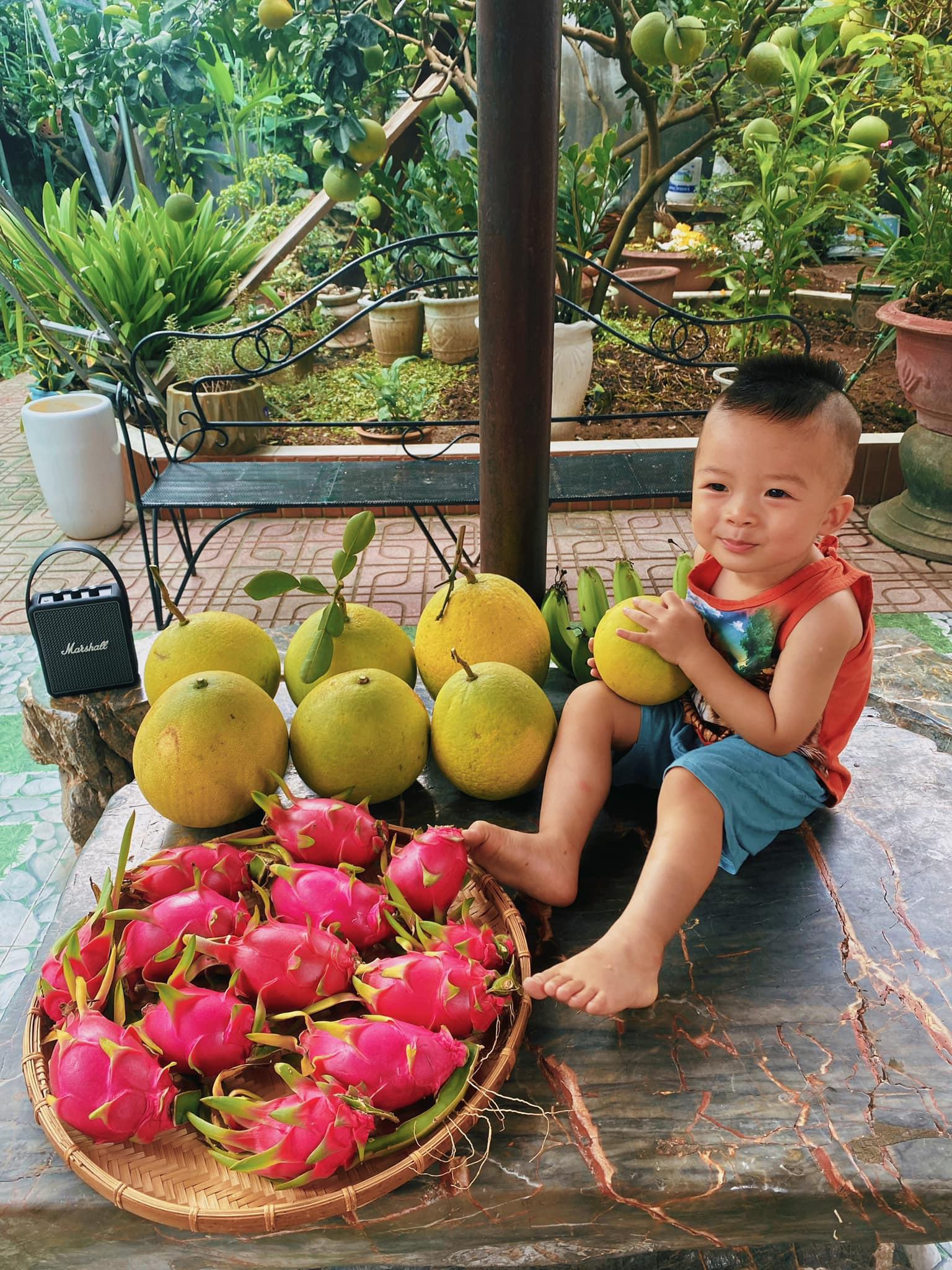 Khu vườn trong mơ với gần 40 loại rau quả sai trĩu trịt giữa lòng Hà Nội - 5