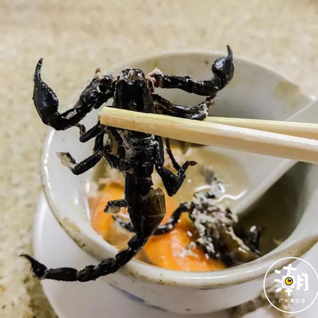 Lạ lùng đặc sản canh bọ cạp nấu nguyên con - 3
