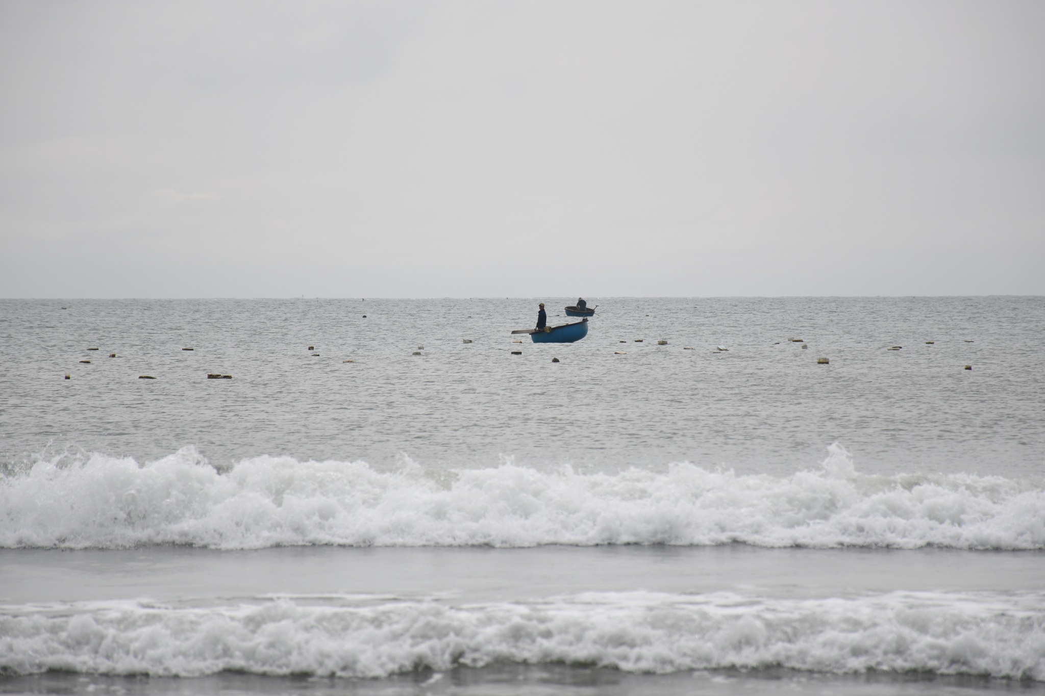 Săn loại tôm nhỏ bằng đầu đũa, bán 140 nghìn đồng mỗi con - 2