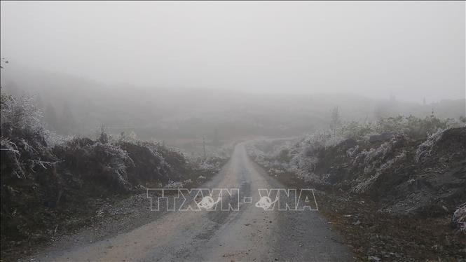 Băng tuyết phủ trắng cao nguyên đá Đồng Văn trong đợt rét rất hiếm - 7