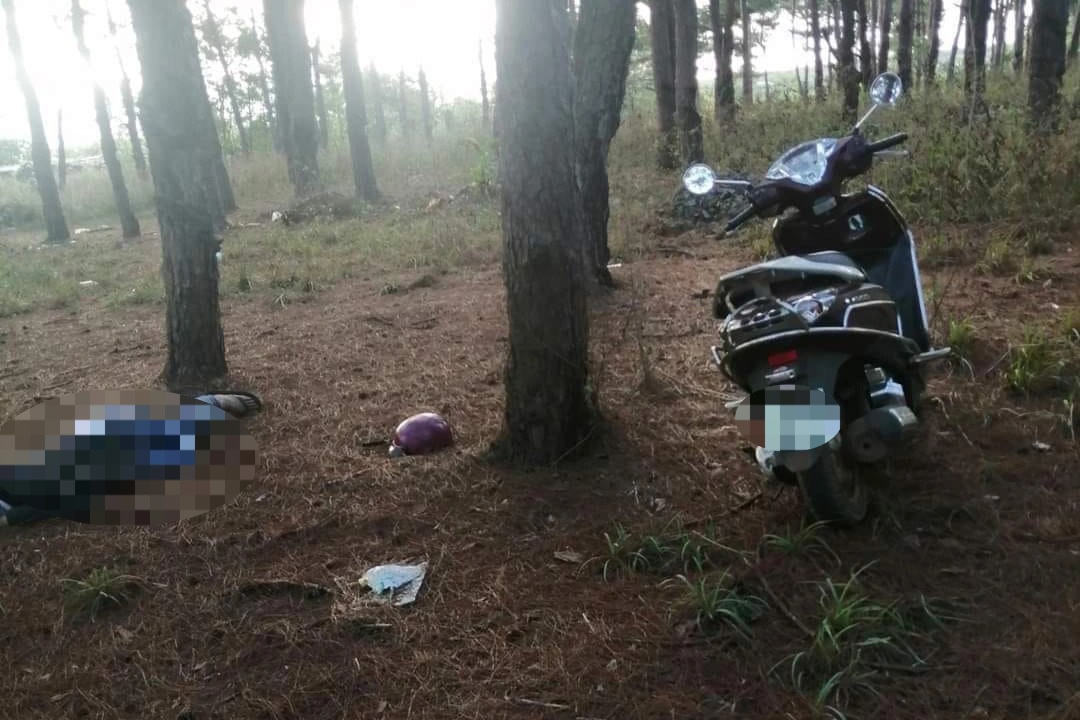 Phát hiện thi thể một nam thanh niên khi đang đi qua đồi thông - 1
