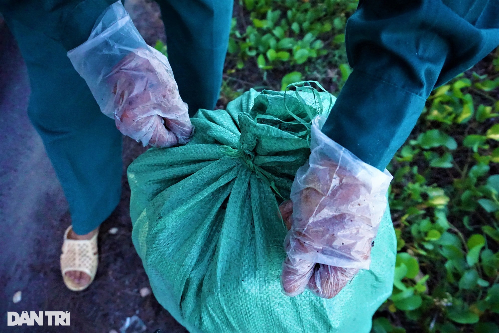 The story of a crazy old man who specializes in picking up trash in Hoi An ancient town - 2