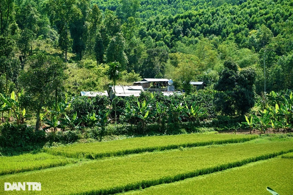 Dị nhân gần nửa thế kỷ không ngủ bây giờ ra sao? - 2 Dị nhân gần nửa thế kỷ không ngủ bây giờ ra sao? - 2