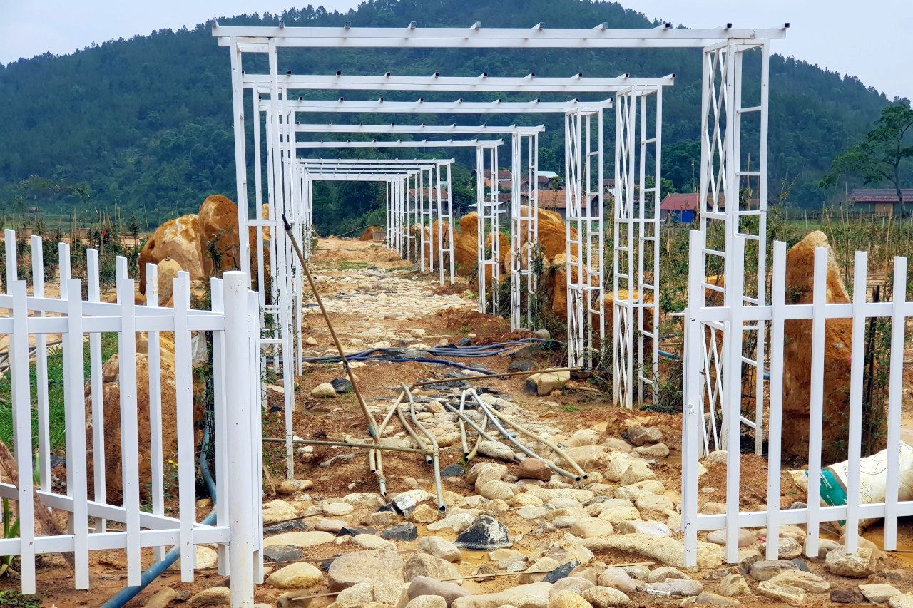 Illegal leveling of hills and fields to build a farm in Mang Den - 5