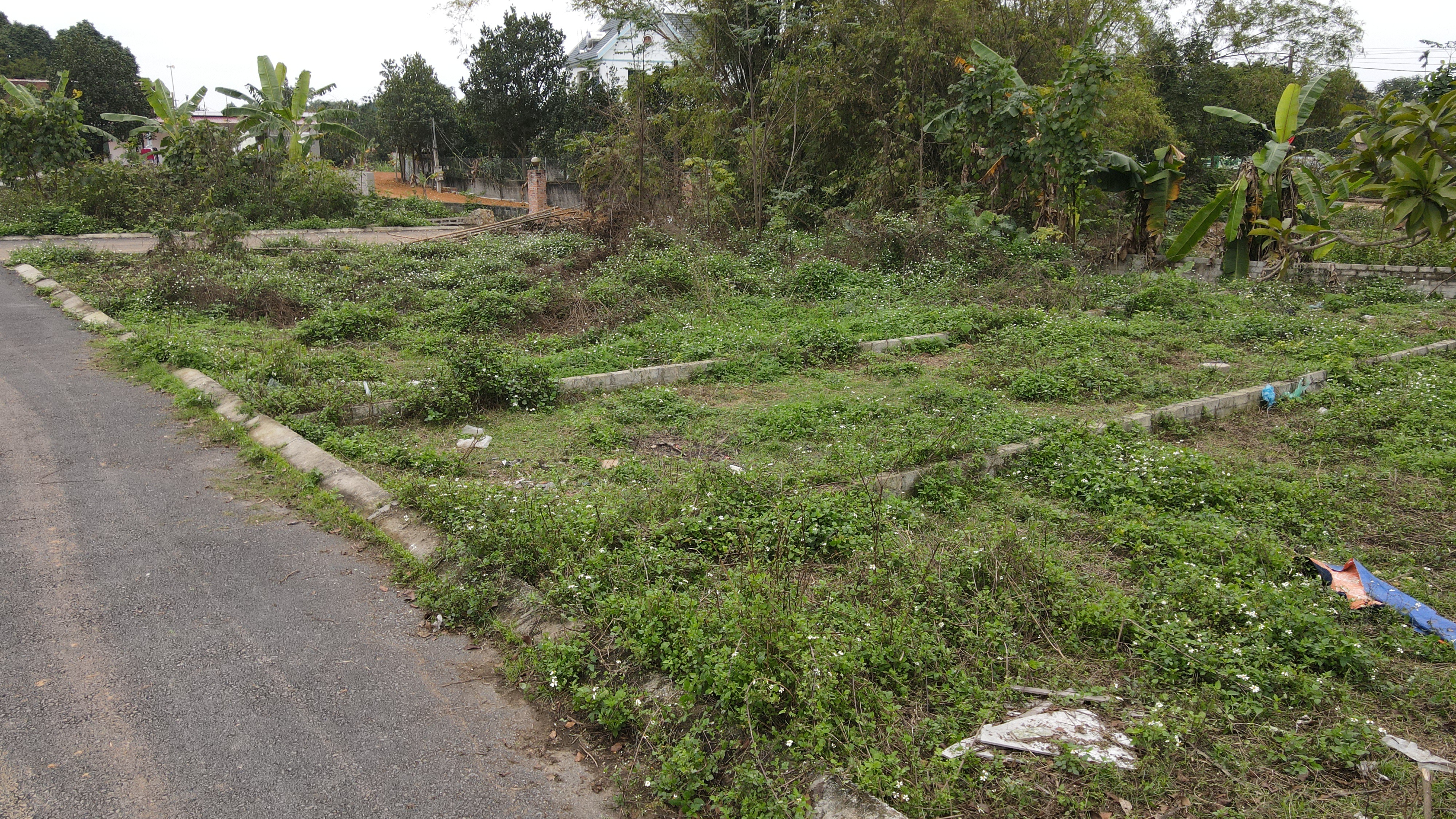 Nở rộ tình trạng núp bóng hiến đất làm đường để phân lô bán nền - 2