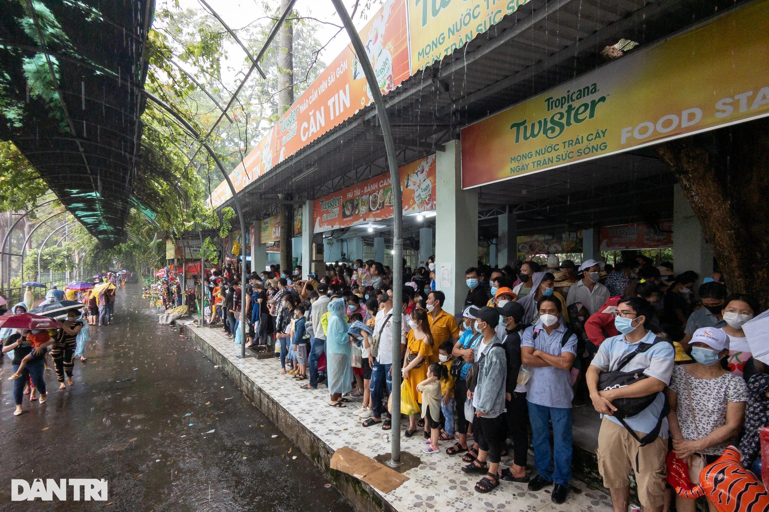 Hàng nghìn du khách dầm mưa vui chơi dịp lễ tại Thảo Cầm Viên TPHCM - 7