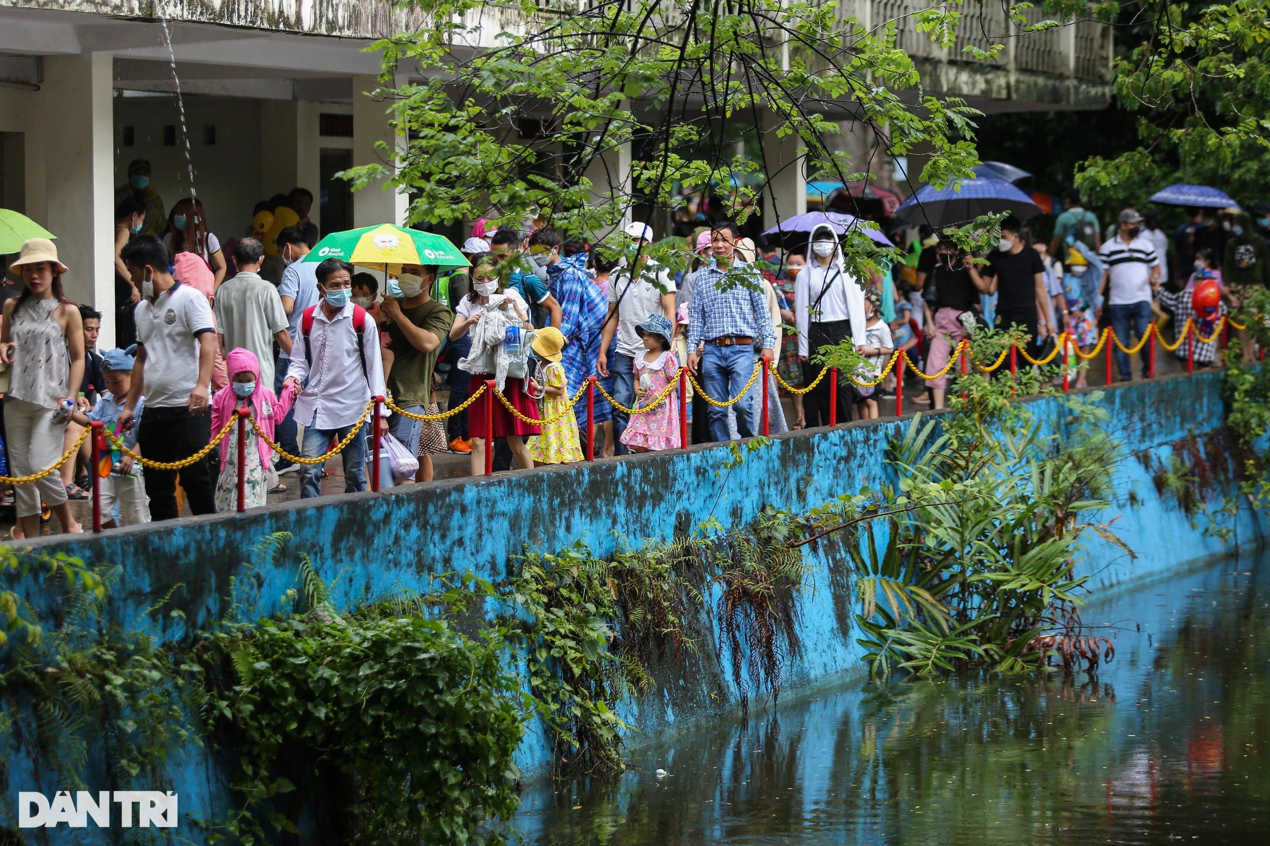 Hàng nghìn du khách dầm mưa vui chơi dịp lễ tại Thảo Cầm Viên TPHCM - 13