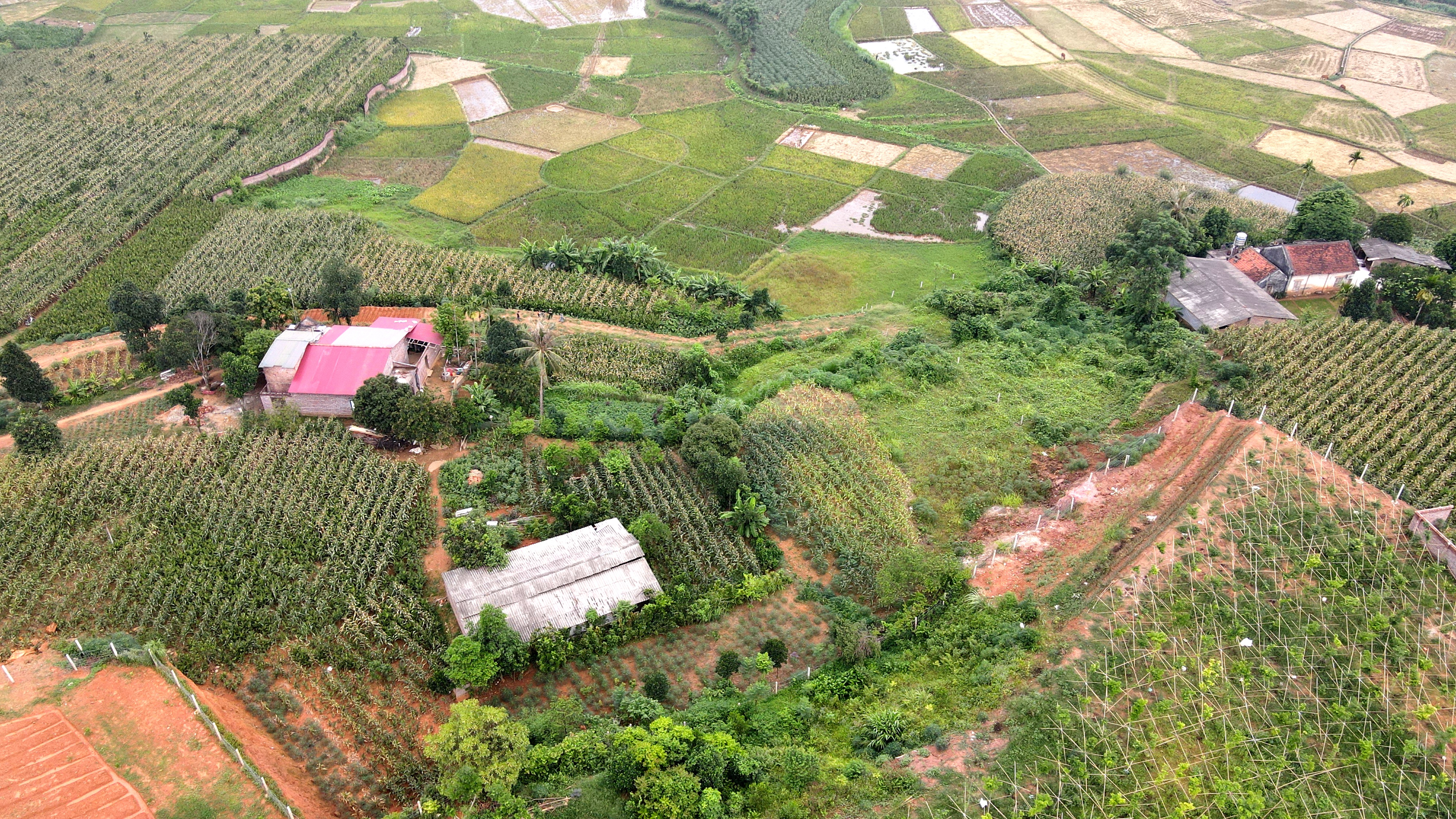 Đất nền tại Hòa Bình tăng nóng, cảnh giác dự án ma lộng hành - 1