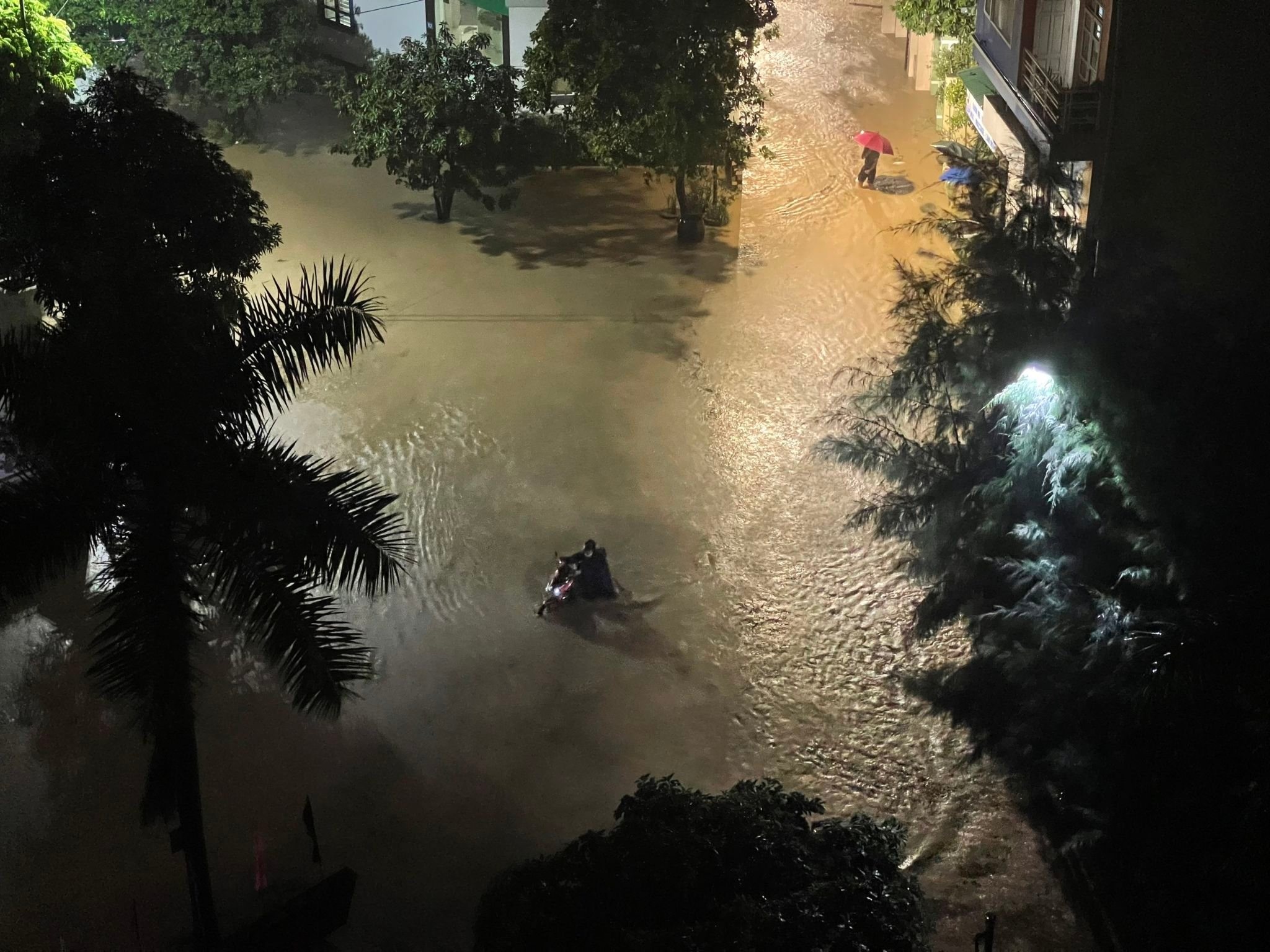 Bão Maon quật đổ cây xanh ở Quảng Ninh, Hải Phòng ngập nhiều tuyến phố - 2