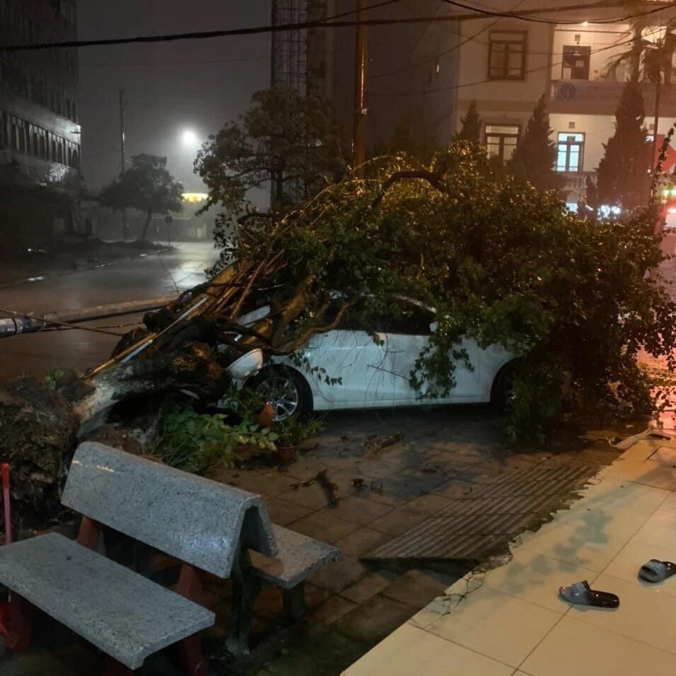 Bão Maon quật đổ cây xanh ở Quảng Ninh, Hải Phòng ngập nhiều tuyến phố - 4