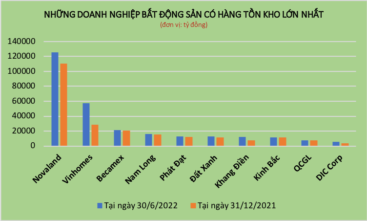 Đại gia địa ốc ôm nghìn tỷ đồng hàng tồn kho: Khóc hay cười? - 1