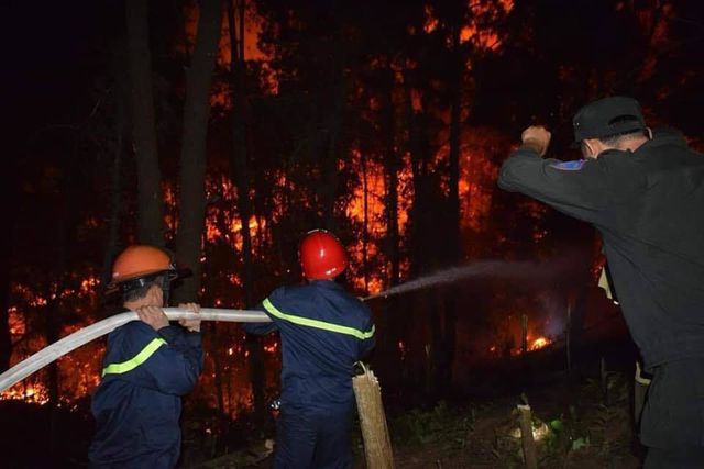 Fires ravage forests in central region in prolonged heat wave