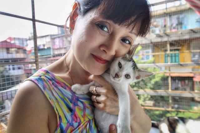 Hanoi woman offers home to abandoned cats