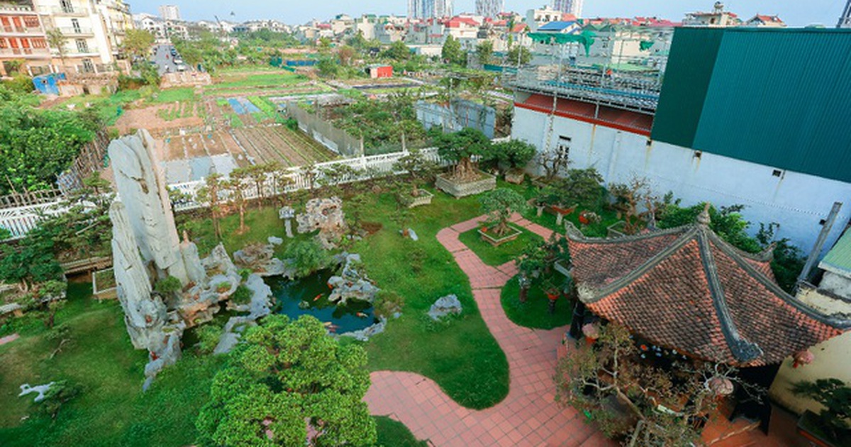 Lạc bước vào những khu vườn đắt giá như vàng ròng của các đại gia Việt