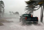 Lái xe trong bão lũ: Mang theo ít nhất 1 số điện thoại cứu hộ