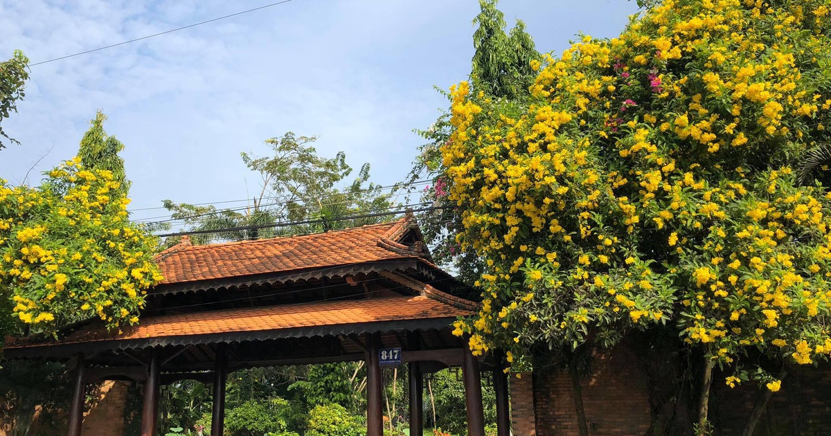 Chiêm ngưỡng ngôi nhà cổ tuyệt đẹp, rộng 'thẳng cánh cò bay' ở Long An