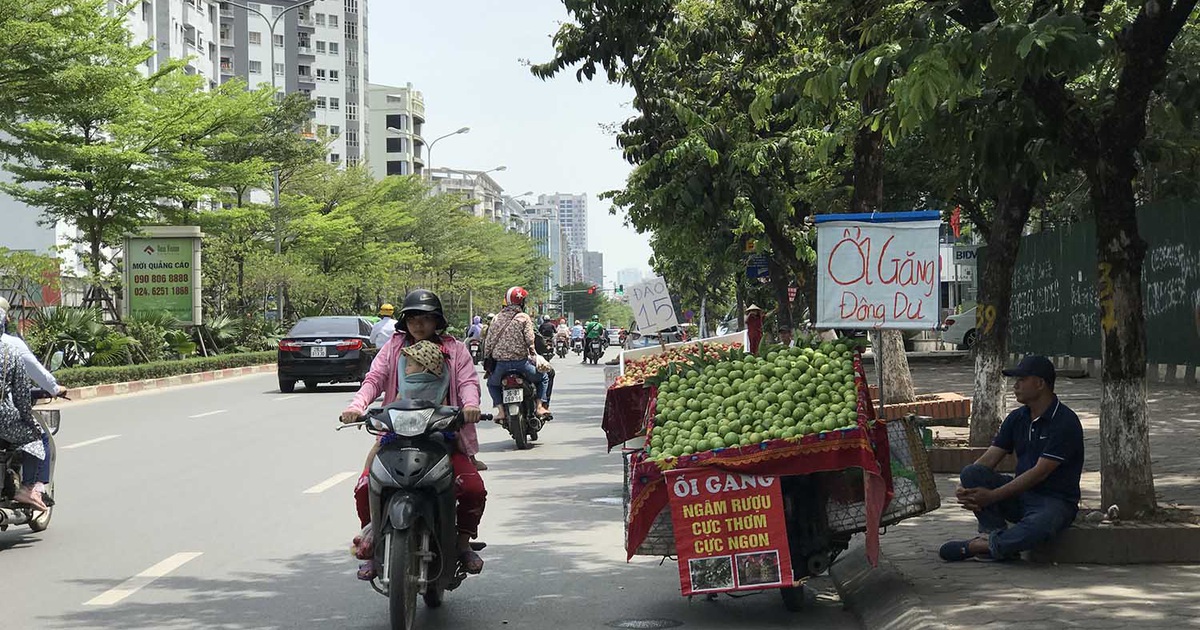 Hoa quả siêu rẻ tràn vỉa hè: Người tiêu dùng cẩn thận tránh sập bẫy