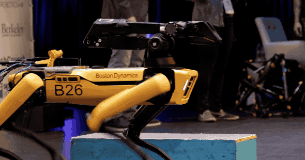 Chó robot