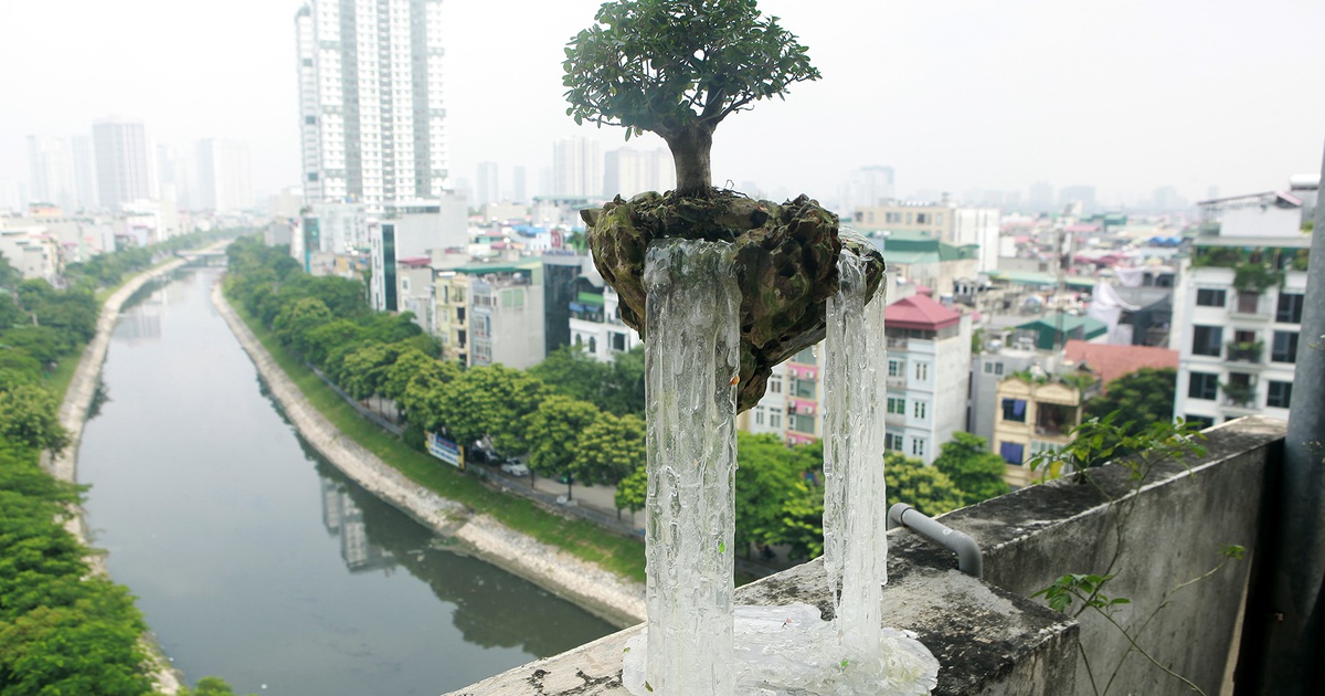 Bất ngờ với những 'hòn đảo bay', tiểu cảnh bay lần đầu xuất hiện ở Hà Nội