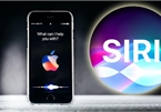 Trợ lý ảo Siri chuẩn bị hỗ trợ tiếng Việt