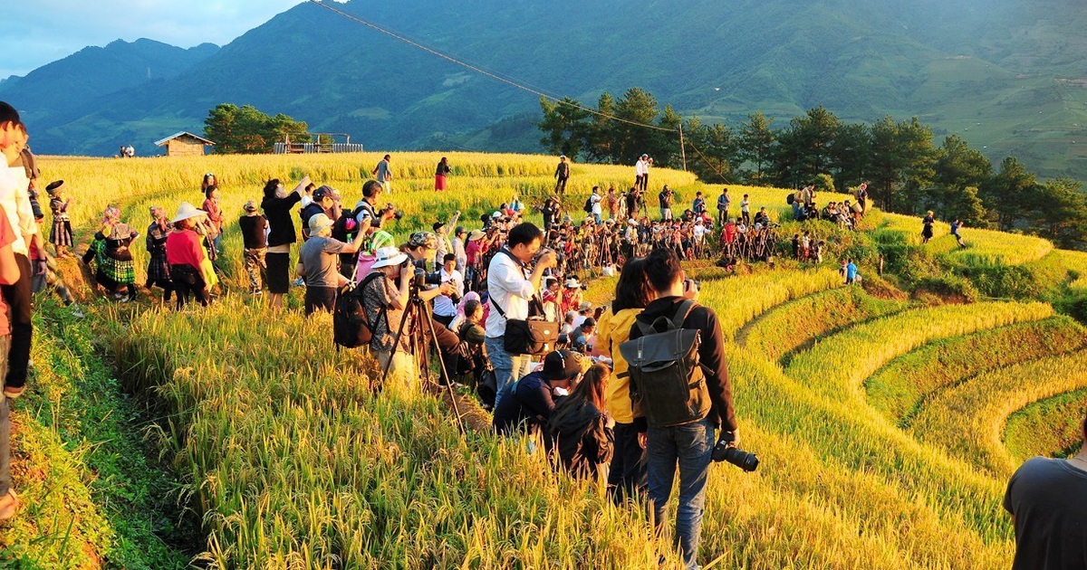 'Hậu trường' trăm người xếp hàng chụp ảnh ruộng bậc thang Mù Cang Chải