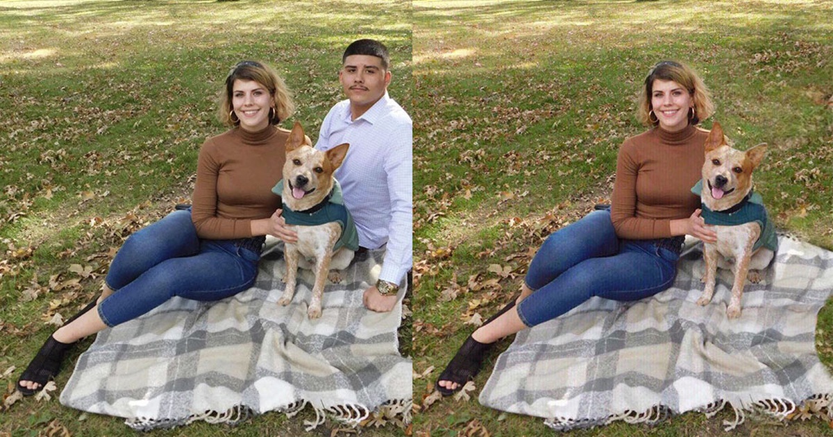 Dịch vụ lạ thu hút khách: 