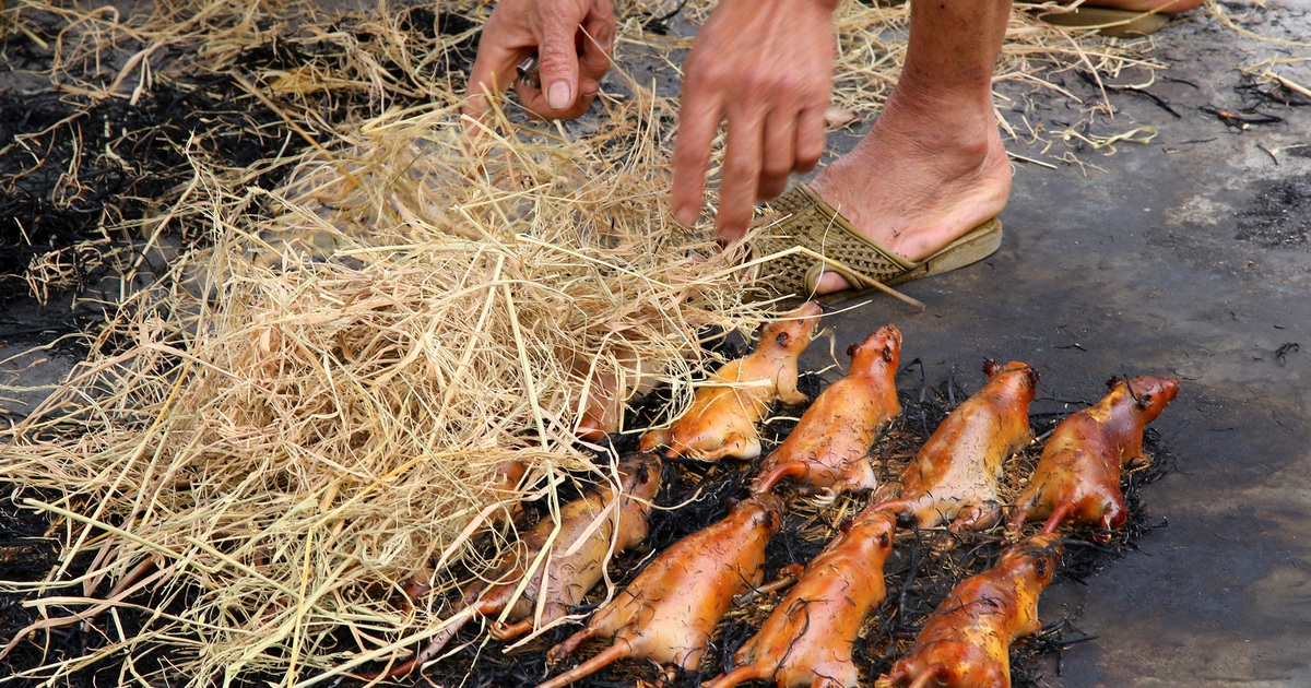 Món thịt chuột đặc sản của người làng Giống