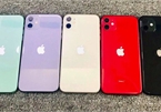 iPhone đời cũ bất ngờ tăng giá tại Việt Nam