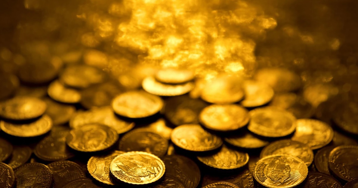 Đi ngắm chim bất ngờ tìm thấy hũ tiền vàng trị giá hơn 25 tỷ đồng