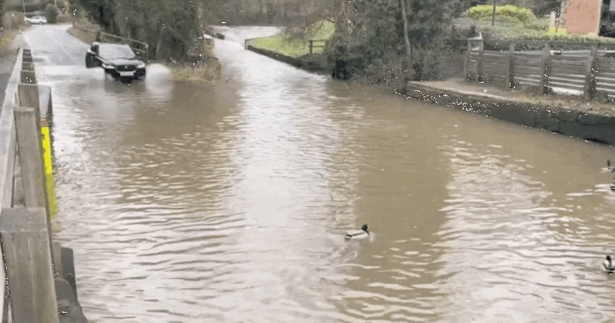 Phi qua vùng nước ngập, chiếc SUV hạng sang nhận 